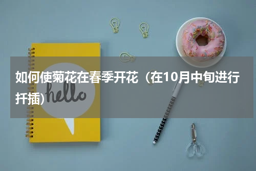 如何使菊花在春季开花（在10月中旬进行扦插）