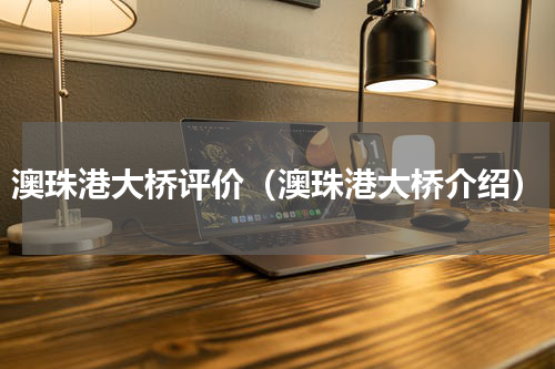 澳珠港大桥评价（澳珠港大桥介绍）