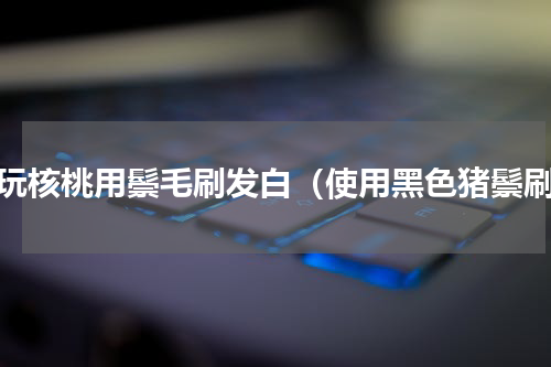 文玩核桃用鬃毛刷发白（使用黑色猪鬃刷）