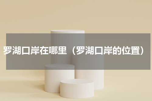 罗湖口岸在哪里（罗湖口岸的位置）
