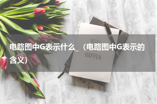 电路图中G表示什么_（电路图中G表示的含义）