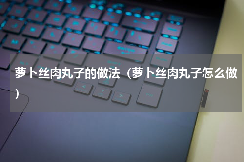 萝卜丝肉丸子的做法（萝卜丝肉丸子怎么做）