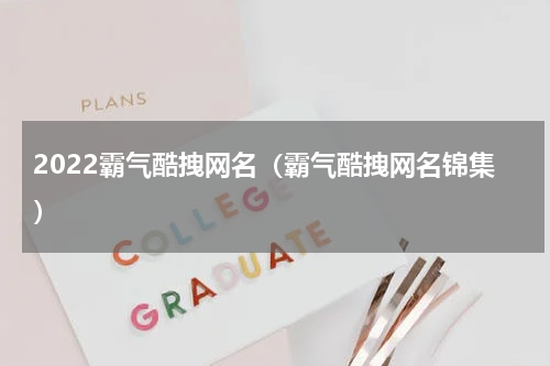 2022霸气酷拽网名（霸气酷拽网名锦集）