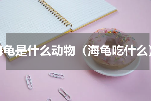 海龟是什么动物（海龟吃什么）