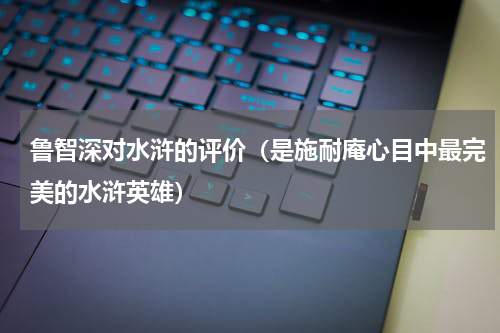 鲁智深对水浒的评价（是施耐庵心目中最完美的水浒英雄）