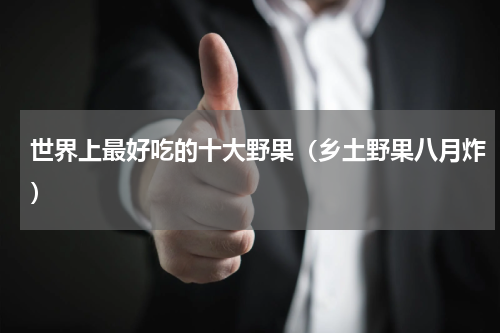 世界上最好吃的十大野果（乡土野果八月炸）