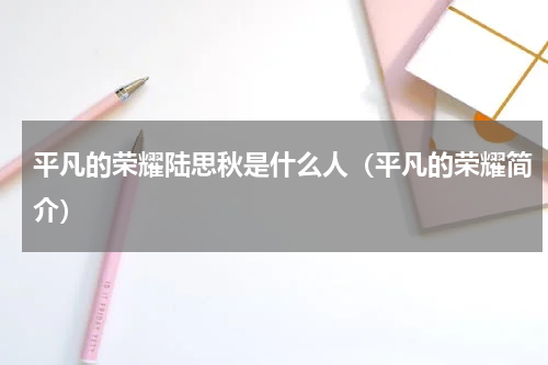 平凡的荣耀陆思秋是什么人（平凡的荣耀简介）