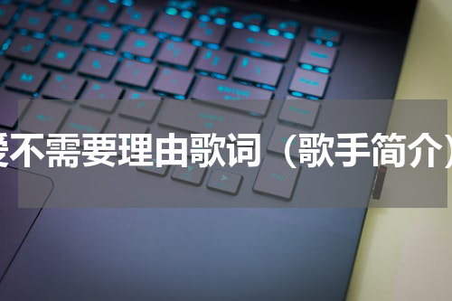 爱不需要理由歌词（歌手简介）