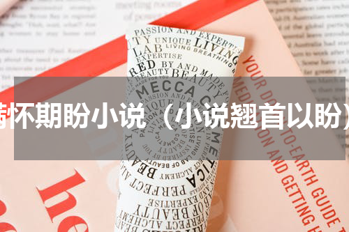 满怀期盼小说（小说翘首以盼）