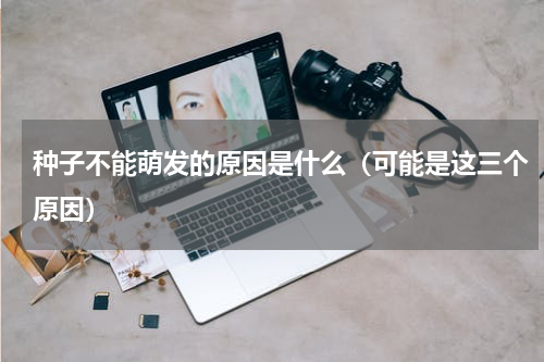 种子不能萌发的原因是什么（可能是这三个原因）