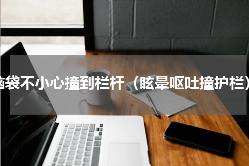 脑袋不小心撞到栏杆（眩晕呕吐撞护栏）