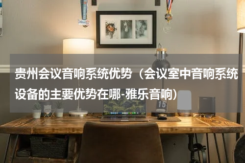 贵州会议音响系统优势（会议室中音响系统设备的主要优势在哪-雅乐音响）