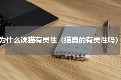 为什么说猫有灵性（猫真的有灵性吗）