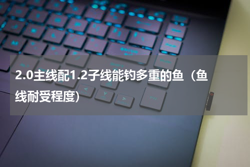 2.0主线配1.2子线能钓多重的鱼（鱼线耐受程度）