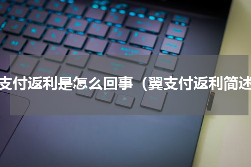 翼支付返利是怎么回事（翼支付返利简述）