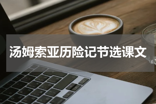 汤姆索亚历险记节选课文