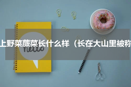 山上野菜蕨菜长什么样（长在大山里被称）