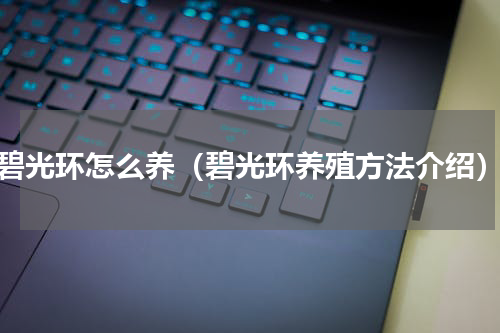 碧光环怎么养（碧光环养殖方法介绍）