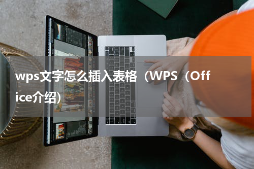 wps文字怎么插入表格（WPS（Office介绍）