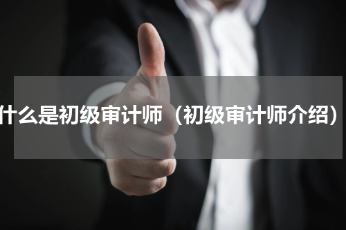 什么是初级审计师（初级审计师介绍）