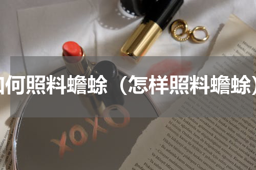 如何照料蟾蜍（怎样照料蟾蜍）