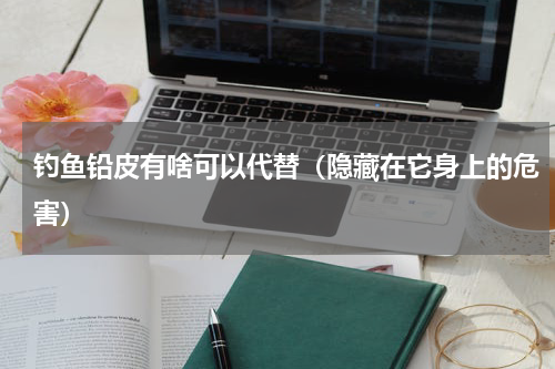 钓鱼铅皮有啥可以代替（隐藏在它身上的危害）