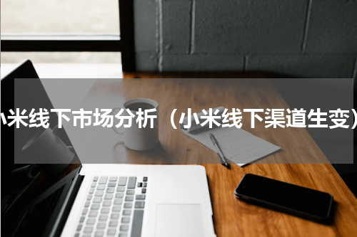 小米线下市场分析（小米线下渠道生变）