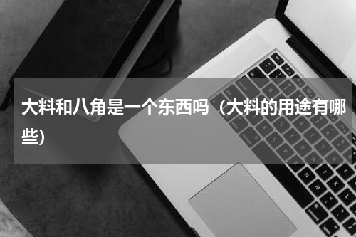 大料和八角是一个东西吗（大料的用途有哪些）