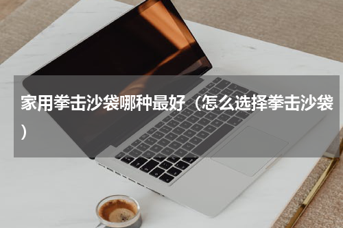 家用拳击沙袋哪种最好（怎么选择拳击沙袋）