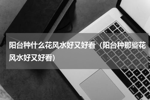 阳台种什么花风水好又好看（阳台种那些花风水好又好看）