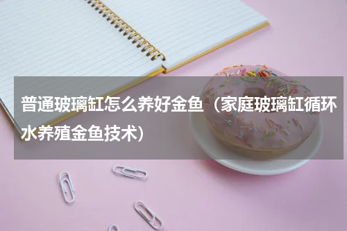 普通玻璃缸怎么养好金鱼（家庭玻璃缸循环水养殖金鱼技术）