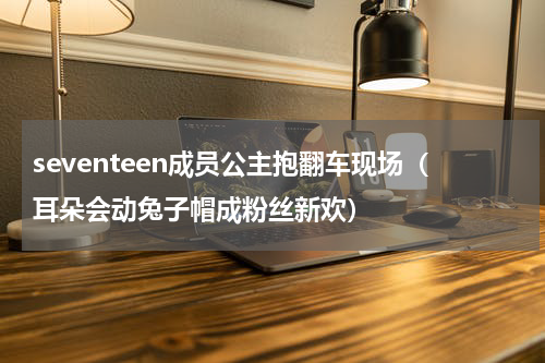 seventeen成员公主抱翻车现场（耳朵会动兔子帽成粉丝新欢）