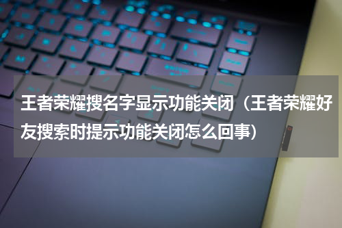 王者荣耀搜名字显示功能关闭（王者荣耀好友搜索时提示功能关闭怎么回事）