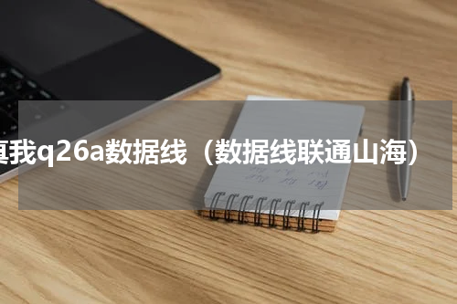 真我q26a数据线（数据线联通山海）