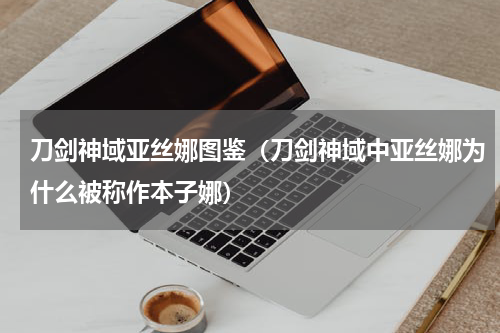 刀剑神域亚丝娜图鉴（刀剑神域中亚丝娜为什么被称作本子娜）