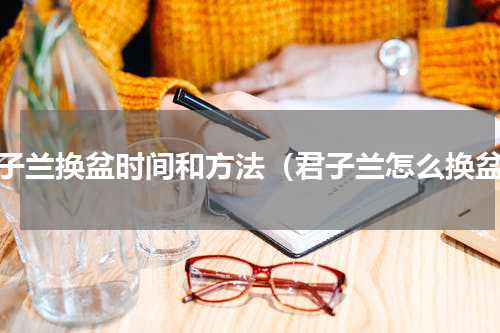 君子兰换盆时间和方法（君子兰怎么换盆）