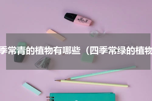 四季常青的植物有哪些（四季常绿的植物）