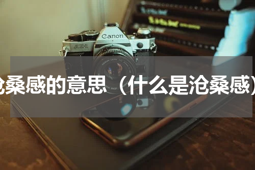 沧桑感的意思（什么是沧桑感）