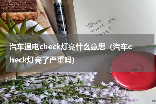 汽车通电check灯亮什么意思（汽车check灯亮了严重吗）