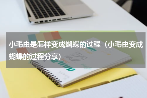 小毛虫是怎样变成蝴蝶的过程（小毛虫变成蝴蝶的过程分享）
