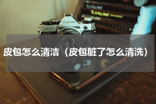 皮包怎么清洁（皮包脏了怎么清洗）