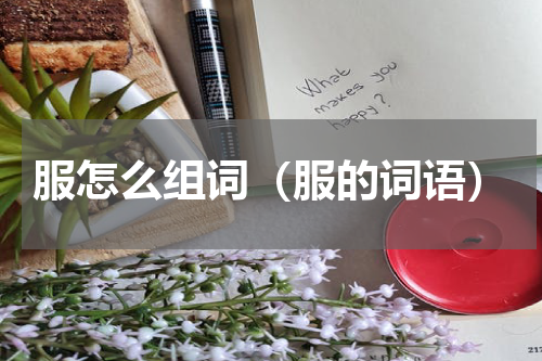 服怎么组词（服的词语）
