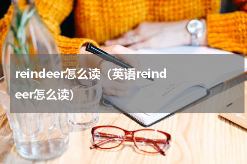 reindeer怎么读（英语reindeer怎么读）