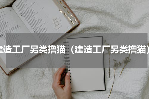 建造工厂另类撸猫（建造工厂另类撸猫）