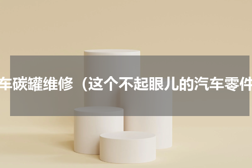 汽车碳罐维修（这个不起眼儿的汽车零件）