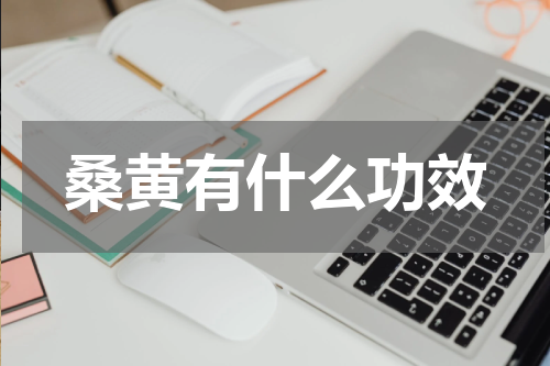 桑黄有什么功效
