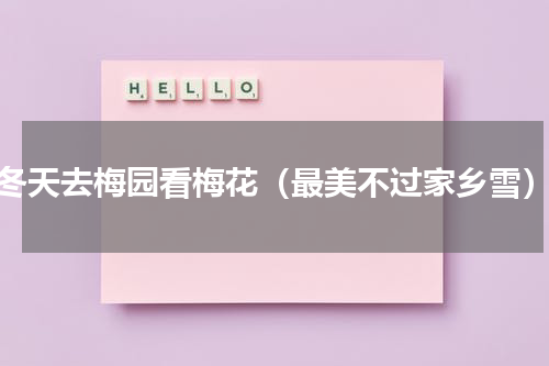 冬天去梅园看梅花（最美不过家乡雪）