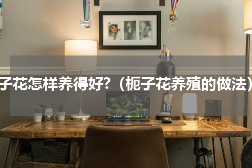 枙子花怎样养得好?（枙子花养殖的做法）