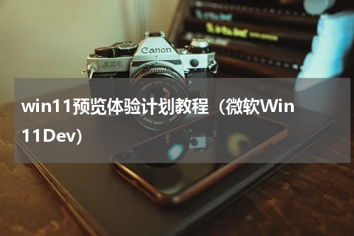 win11预览体验计划教程（微软Win11Dev）