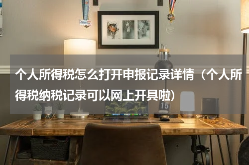 个人所得税怎么打开申报记录详情（个人所得税纳税记录可以网上开具啦）